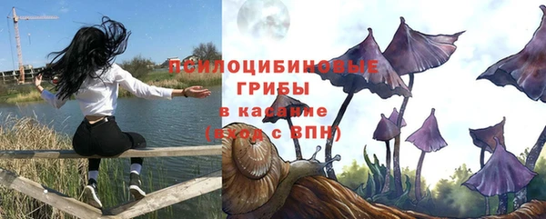 Альфа ПВП Волосово