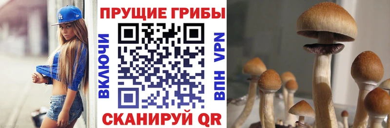 Галлюциногенные грибы Psilocybine cubensis  MEGA онион  Псков 